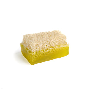 Aloe Vera Seife mit Kürbisfaser