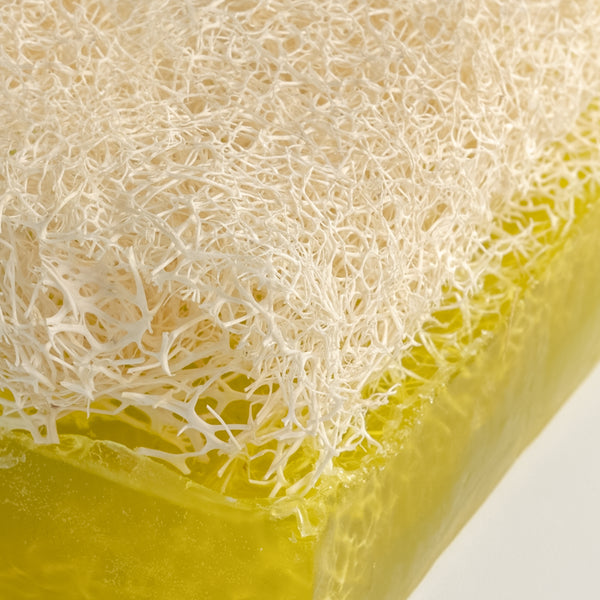 Aloe Vera Seife mit Kürbisfaser
