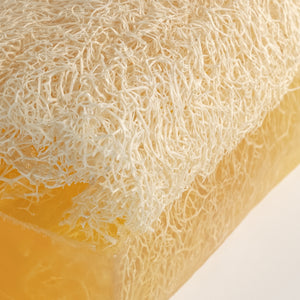 Mango Seife mit Kürbisfaser