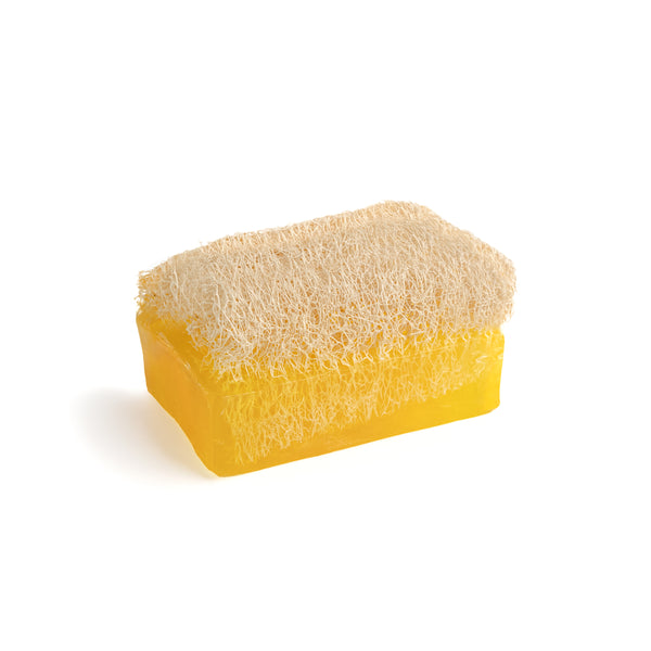 Orangenöl Seife mit Kürbisfaser